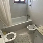 度假居 Mourisca